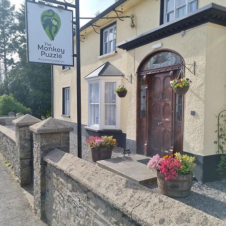 The Monkey Puzzle Hotell Bunclody Exteriör bild