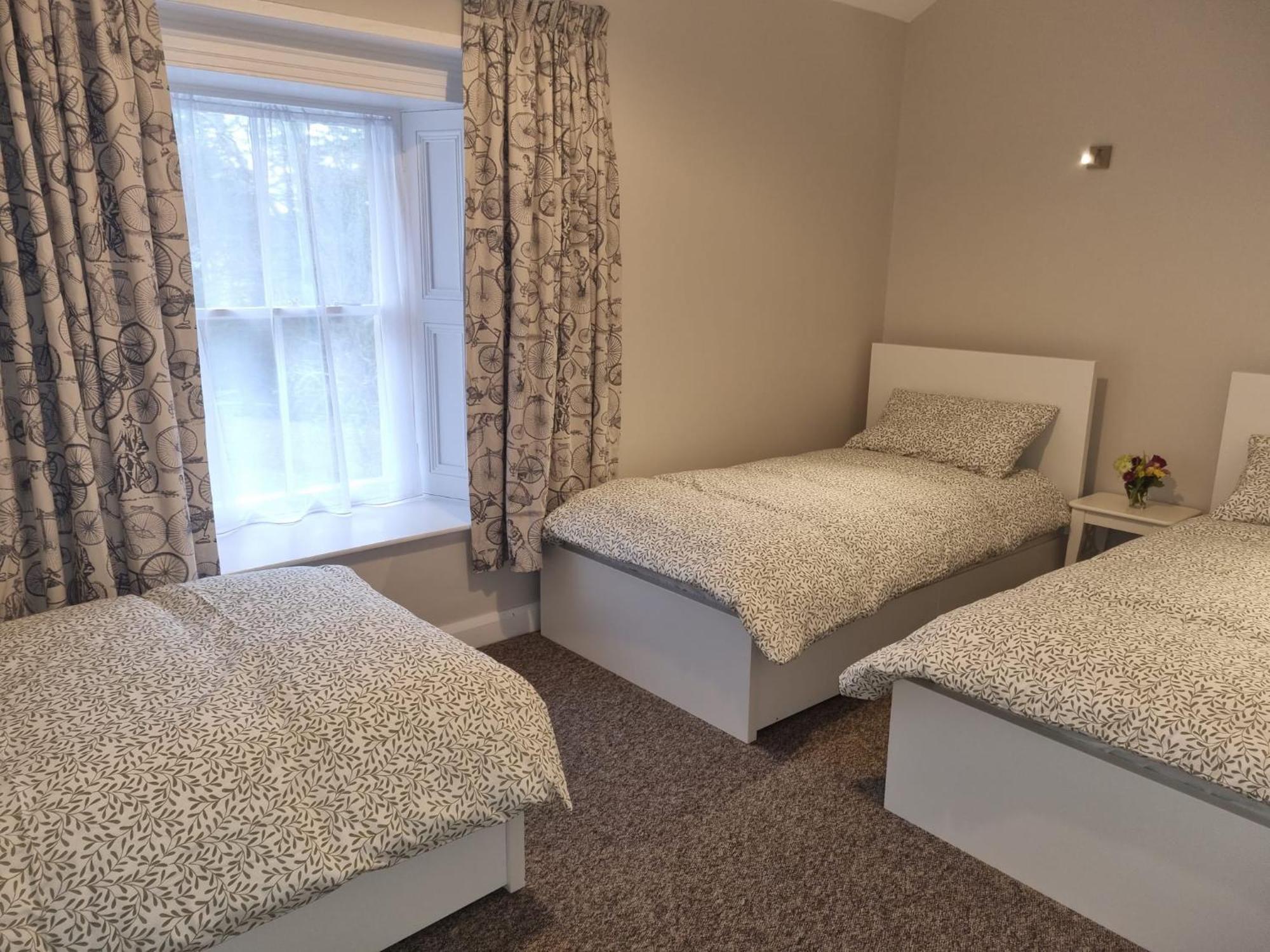 The Monkey Puzzle Hotell Bunclody Exteriör bild