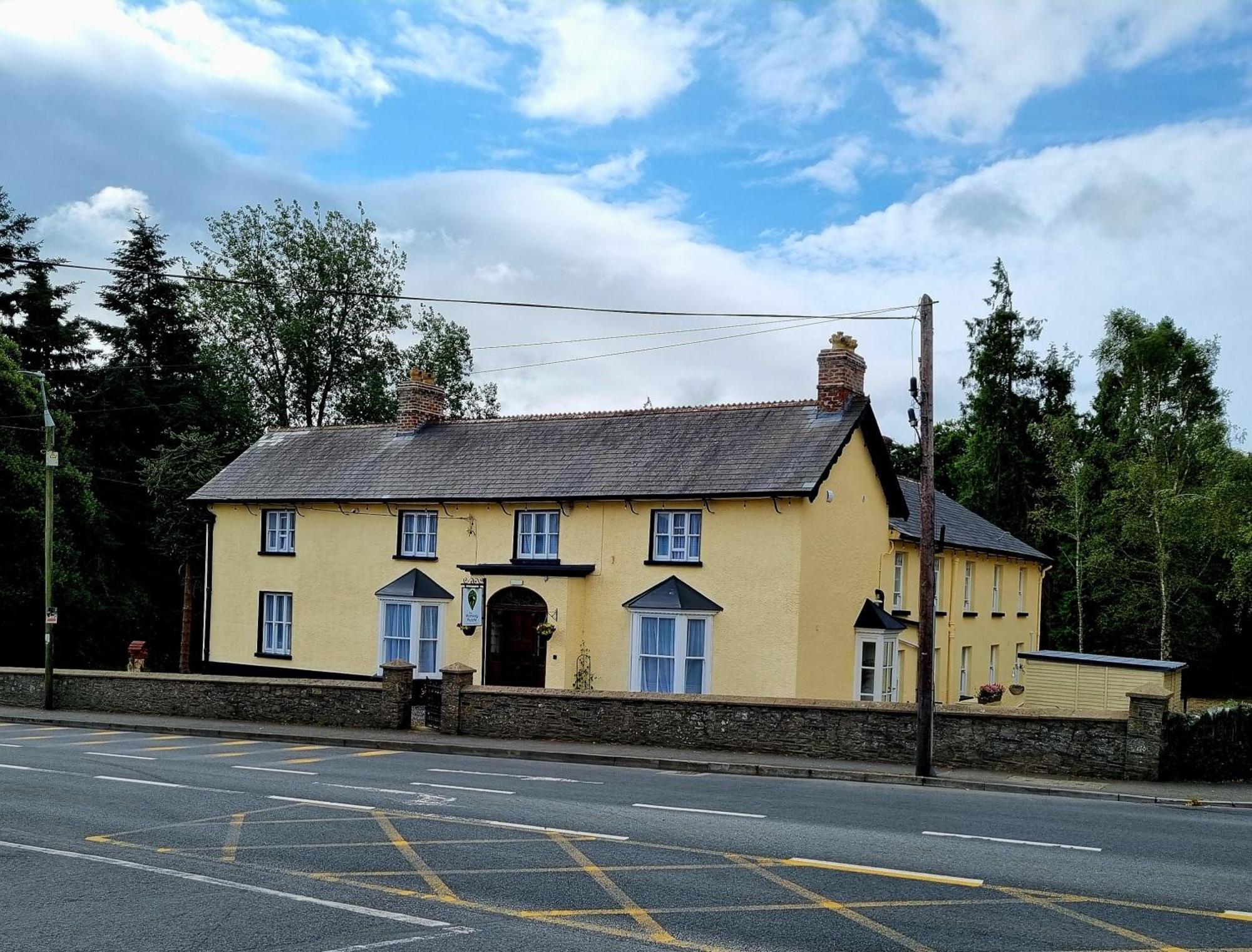 The Monkey Puzzle Hotell Bunclody Exteriör bild